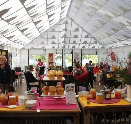 Casa Romeo Mit Kaminofen Und Sonnenterrasse Casa vacanze Guía de Isora